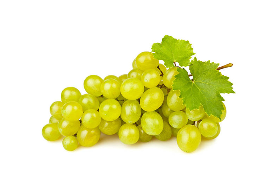 grapes on white background