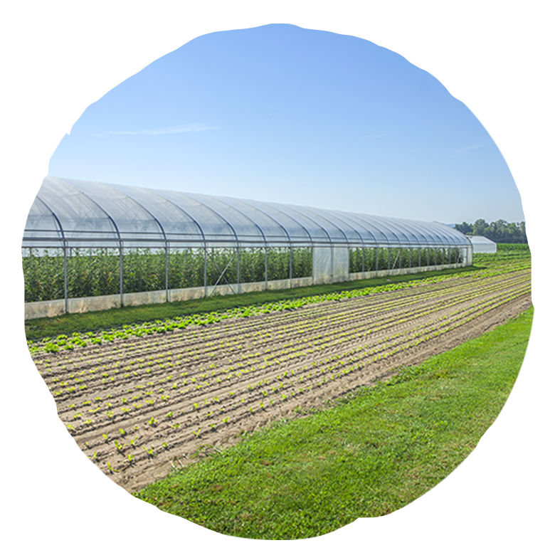 greenhouse and fields