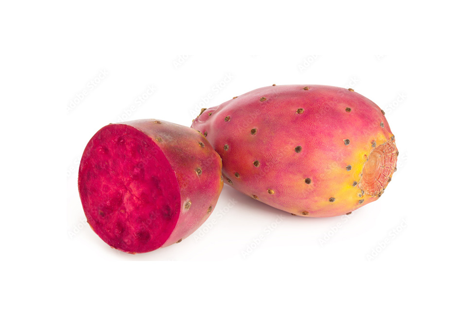 prickly pear on white background